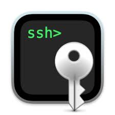 Logo SSH